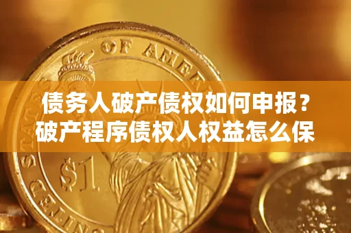 北京债务人破产债权如何申报？破产程序债权人权益怎么保障？