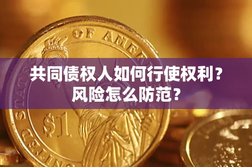 北京共同债权人如何行使权利？风险怎么防范？