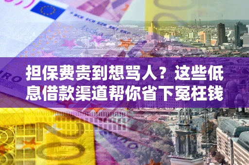 北京担保费贵到想骂人？这些低息借款渠道帮你省下冤枉钱