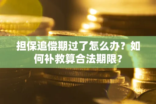 北京担保追偿期过了怎么办？如何补救算合法期限？