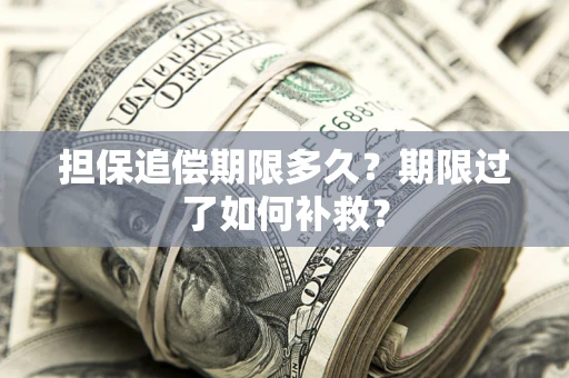 北京担保追偿期限多久？期限过了如何补救？