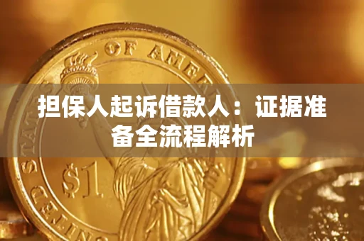 北京担保人起诉借款人：证据准备全流程解析
