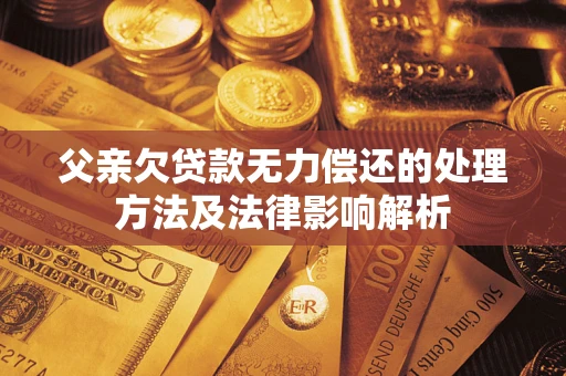 北京父亲欠贷款无力偿还的处理方法及法律影响解析